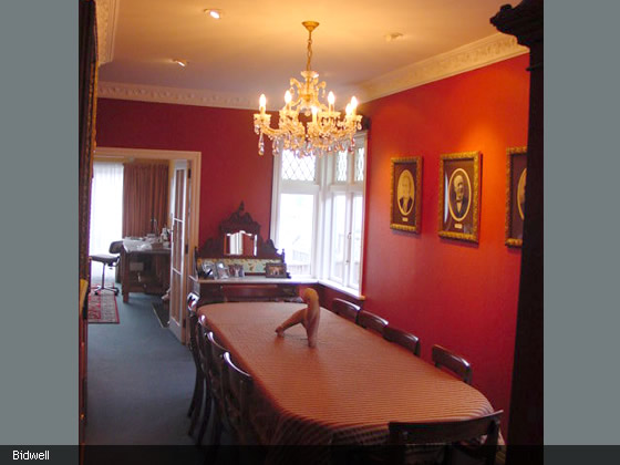 Bidwell House - Architecture 3